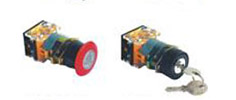 epushButton